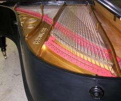 1888Bosendorfer005