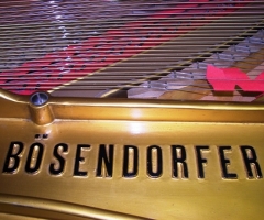 1888Bosendorfer006