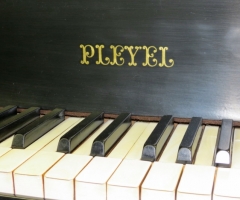 1880 Pleyel 08