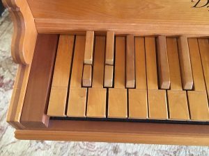 Detail image of harpsichord keyboard